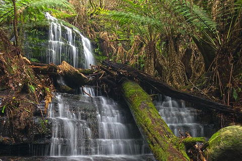 Hobart And Surrounds Photography Workshop - Attractions Melbourne 4