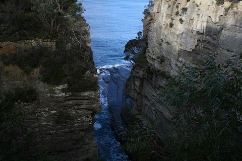 Cruise Ship Special From Port Arthur: Explore Tasman Peninsula With Free WiFi - Attractions Melbourne 1