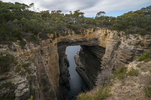 Cruise Ship Special From Port Arthur: Explore Tasman Peninsula With Free WiFi - Attractions Melbourne 2
