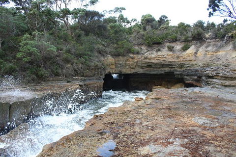 Cruise Ship Special From Port Arthur: Explore Tasman Peninsula With Free WiFi - Attractions Melbourne 7