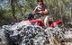 Half-Day Guided ATV Exploration Tour From Coles Bay - thumb 5