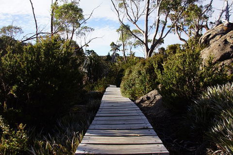 Mount Field National Park - Tarn Shelf & Russell Falls - Guided Hiking Tour - Attractions Melbourne 5
