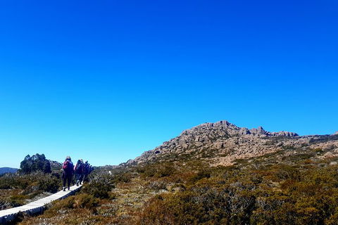 Mount Field National Park - Tarn Shelf & Russell Falls - Guided Hiking Tour - Attractions Melbourne 6