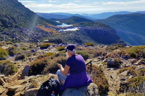 Mount Field National Park - Tarn Shelf & Russell Falls - Guided Hiking Tour - Attractions Melbourne 11