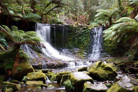 Mount Field National Park - Tarn Shelf & Russell Falls - Guided Hiking Tour - Attractions Melbourne 10