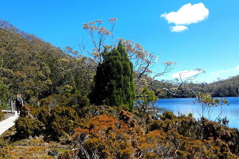Mount Field National Park - Tarn Shelf & Russell Falls - Guided Hiking Tour - Attractions Melbourne 3