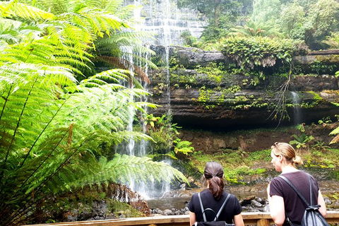 Mount Field National Park - Tarn Shelf & Russell Falls - Guided Hiking Tour - Attractions Melbourne 4
