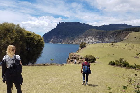 3-Day: Hobart Nature Walking Tour: Maria Island, Cape Raoul & Mount Field - Attractions Melbourne 3