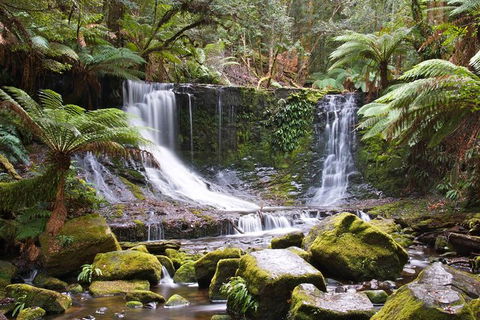 3-Day: Hobart Nature Walking Tour: Maria Island, Cape Raoul & Mount Field - Attractions Melbourne 10