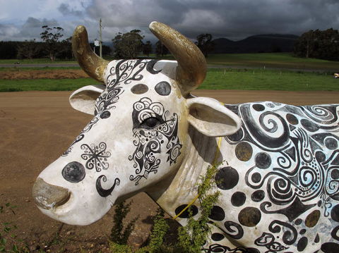Cradle Mountain National Park Day Tour From Launceston - Attractions Melbourne 19
