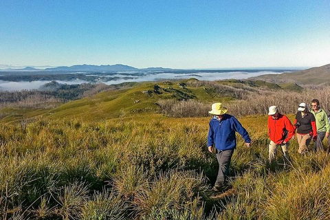 5-Day Tasmania West Coast Camping Tour: Hobart To Launceston Including Mount Field National Park, Tarkine And Cradle Mountain - Attractions Melbourne 1