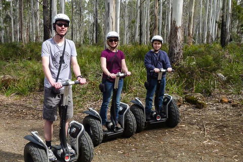 Hollybank Wilderness Adventures - Segway Tour - Attractions Melbourne 1