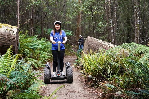 Hollybank Wilderness Adventures - Segway Tour - Attractions Melbourne 0