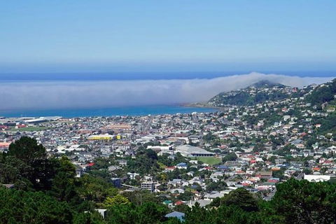 Hobart Shore Excursion: Small Group Mount Wellington 3-Hour Bike Tour - Attractions Melbourne 0