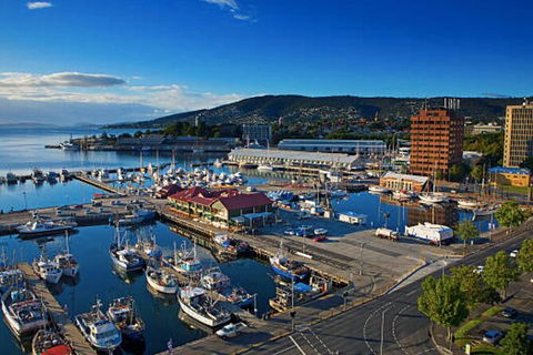 Hobart Shore Excursion: Small Group Mount Wellington 3-Hour Bike Tour - Attractions Melbourne 6