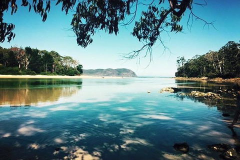 Full-Day Guided Bruny Island Tour From Hobart - Attractions Melbourne 4