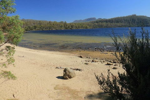 Lake St. Clair And Western Wilderness Active Day Trip From Hobart - Attractions Melbourne 5