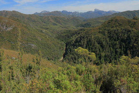Lake St. Clair And Western Wilderness Active Day Trip From Hobart - Attractions Melbourne 9