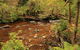 Lake St. Clair And Western Wilderness Active Day Trip From Hobart - thumb 15
