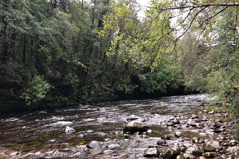 Lake St. Clair And Western Wilderness Active Day Trip From Hobart - Attractions Melbourne 4