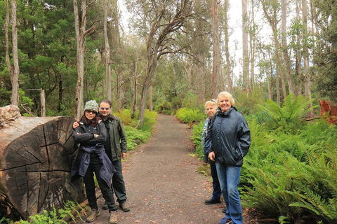 Lake St. Clair And Western Wilderness Active Day Trip From Hobart - Attractions Melbourne 8