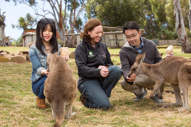  Attractions Melbourne