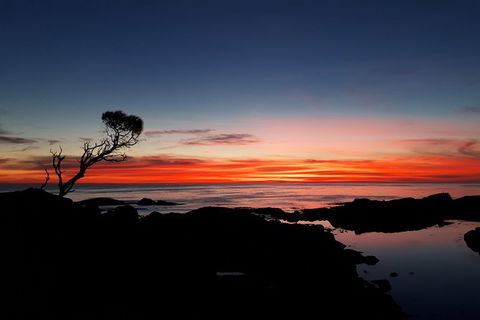 3-Day Bay Of Fires Photography Workshop From Hobart - Attractions Melbourne 5