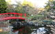 Small-group Tour From Hobart: Native Flora And Fauna, Incl. Royal Bot. Gardens - thumb 9