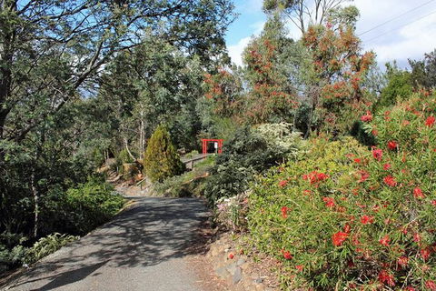 Small-group Tour From Hobart: Native Flora And Fauna, Incl. Royal Bot. Gardens - Attractions Melbourne 11