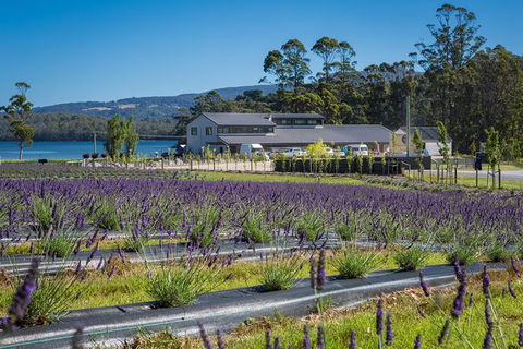 Private Port Arthur Historic Site Day Trip From Hobart - Attractions Melbourne 1