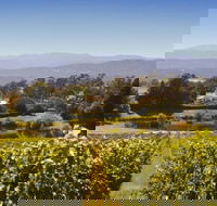Josef Chromy Wines Winery Tour Including Tasting and Lunch - Attractions Melbourne