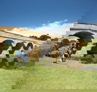 Richmond Historic Afternoon Tour from Hobart - Attractions Melbourne
