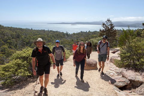 Active Day Tour One-Way From Hobart To Launceston With Wineglass Bay - Attractions Melbourne 3