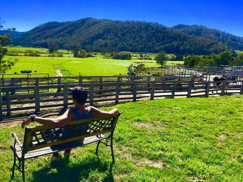 5-Day Lap Of Tasmania Tour From Hobart (flexible Ticket) - Attractions Melbourne 2