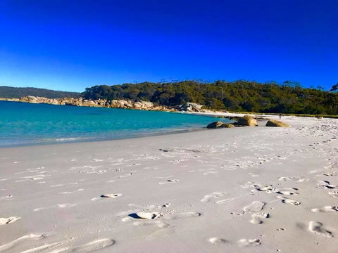 5-Day Lap Of Tasmania Tour From Hobart (flexible Ticket) - Attractions Melbourne 6