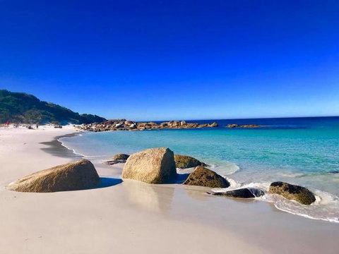 5-Day Lap Of Tasmania Tour From Hobart (flexible Ticket) - Attractions Melbourne 5