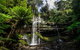 5-Day Lap Of Tasmania Tour From Hobart (flexible Ticket) - thumb 11