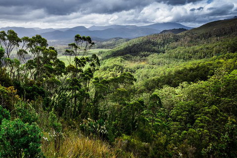 5-Day Lap Of Tasmania Tour From Hobart (flexible Ticket) - Attractions Melbourne 16