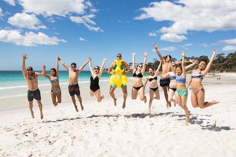 5-Day Lap Of Tasmania Tour From Hobart (flexible Ticket) - Attractions Melbourne 10