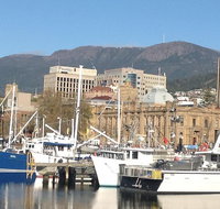 Private Mt Wellington Richmond Bonorong Wildlife Sanctuary Tour from Hobart - Attractions Melbourne