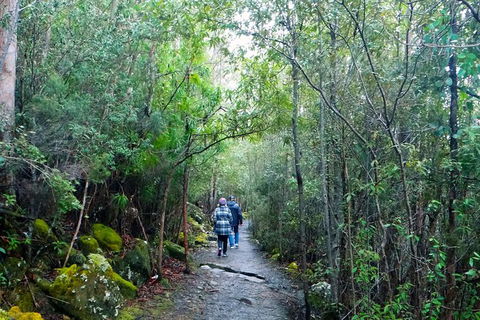 Hobart Hop-On Hop-Off Bus & Kunanyi/Mt Wellington Tour - Attractions Melbourne 4
