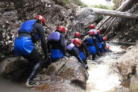 Half Day Cradle Mountain Canyoning: Lost World Canyon - Attractions Melbourne 1