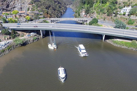 2.50 Hour Afternoon Discovery Cruise Including Cataract Gorge Departing At 3 Pm - Attractions Melbourne 5