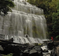 Guided Shore Excursion Mt Field National Park Salmon Ponds Bonorong Wildlife - Attractions Melbourne