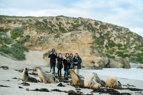 Small-Group Kangaroo Island 4WD Tour From Adelaide - Attractions Melbourne 0