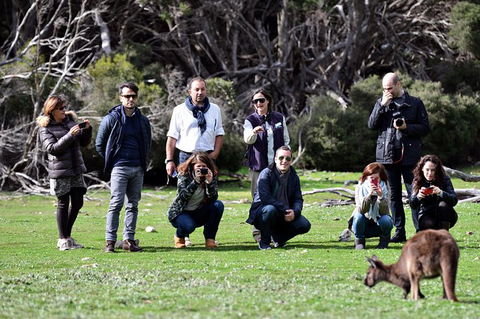 Small-Group Kangaroo Island 4WD Tour From Adelaide - Attractions Melbourne 3