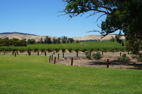Barossa Valley With Hahndorf Tour From Adelaide - Attractions Melbourne 3