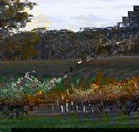 Barossa Valley with Hahndorf Tour from Adelaide - Attractions Melbourne