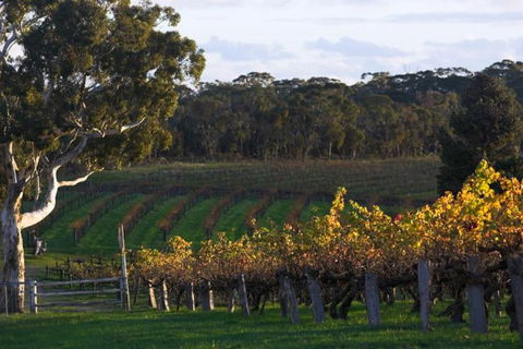 Barossa Valley With Hahndorf Tour From Adelaide - Attractions Melbourne 0