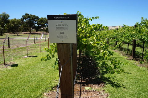 Barossa Valley With Hahndorf Tour From Adelaide - Attractions Melbourne 5